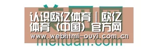 美团网