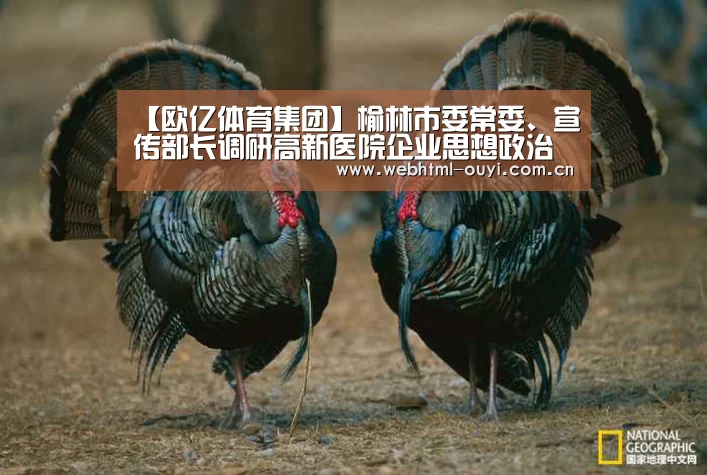 欧亿体育